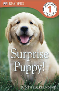 Title: Surprise Puppy! (DK Readers Series Level 1), Author: Judith Walker-Hodge