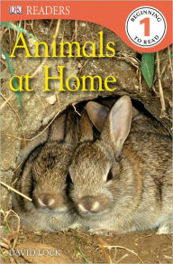 Title: DK Readers L1: Animals at Home, Author: David Lock