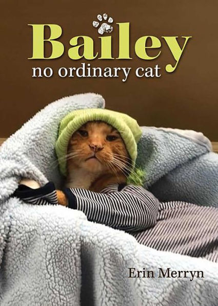 Bailey, No Ordinary Cat