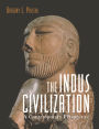 The Indus Civilization: A Contemporary Perspective
