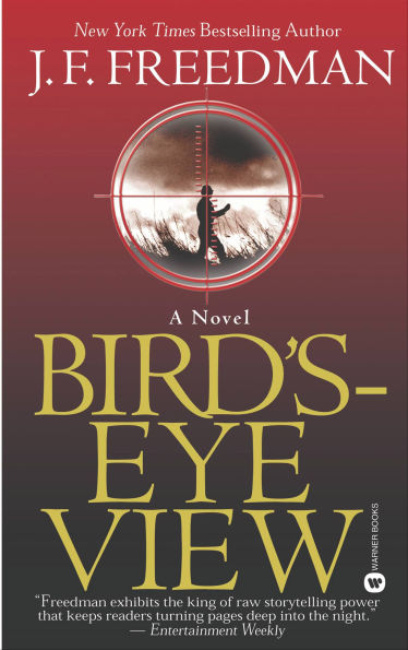 Bird's-Eye View: A Novel