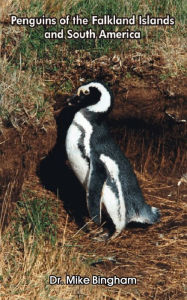 Title: Penguins of the Falkland Islands and South America, Author: Mike Bingham