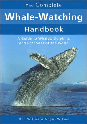 Complete Whale Watching Handbook A Guide To Whales