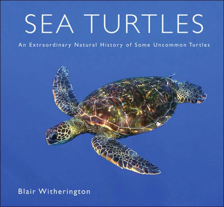 Sea Turtles An Extraordinary Natural History Of Some