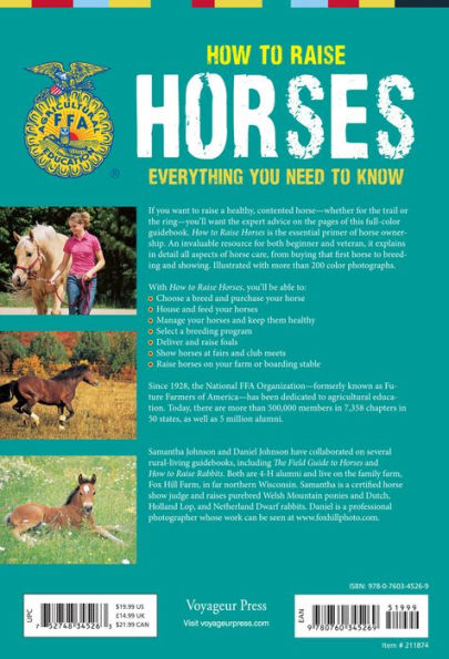 How To Raise Horses: Everything You Need to Know