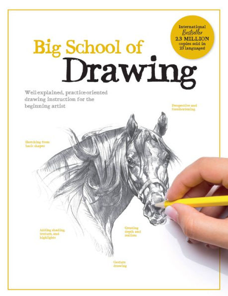 Big School of Drawing: Well-explained, practice-oriented drawing instruction for the beginning artist