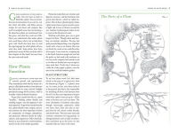 Alternative view 3 of The Garden Primer: The Completely Revised Gardener's Bible - 100% Organic