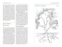 Alternative view 5 of The Garden Primer: The Completely Revised Gardener's Bible - 100% Organic