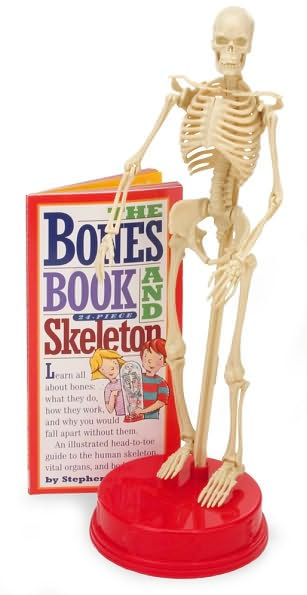 The Bones Book and Skeleton