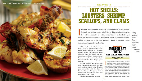 the Barbecue! Bible: More than 500 Great Grilling Recipes from Around World