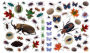 Alternative view 9 of Eyelike Stickers: Bugs