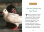 Alternative view 4 of Unlikely Friendships for Kids: The Monkey & the Dove: And Four Other Stories of Animal Friendships