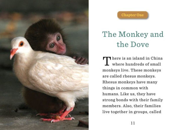 Unlikely Friendships for Kids: The Monkey & the Dove: And Four Other Stories of Animal Friendships