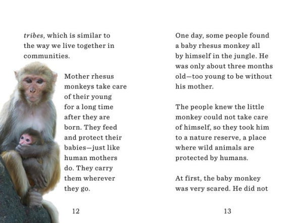 Unlikely Friendships for Kids: The Monkey & the Dove: And Four Other Stories of Animal Friendships