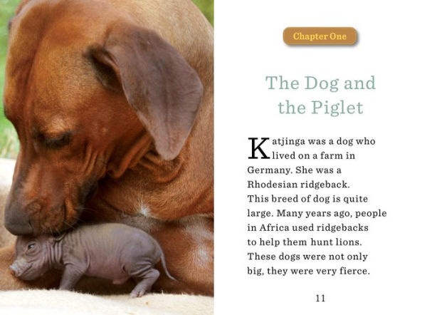 Unlikely Friendships for Kids: The Dog & Piglet: And Four Other Stories of Animal