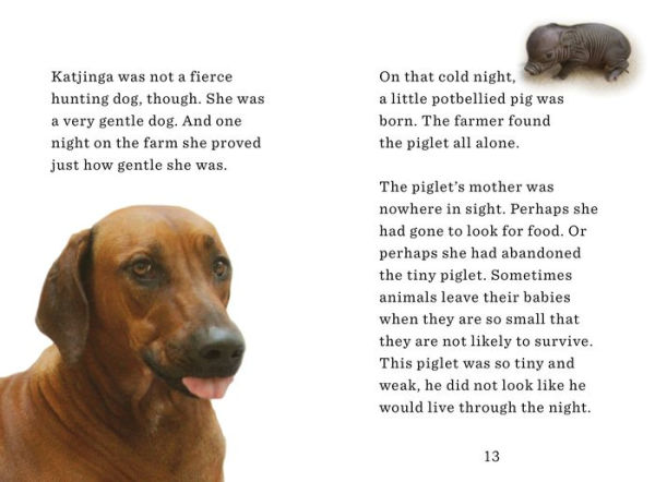 Unlikely Friendships for Kids: The Dog & Piglet: And Four Other Stories of Animal