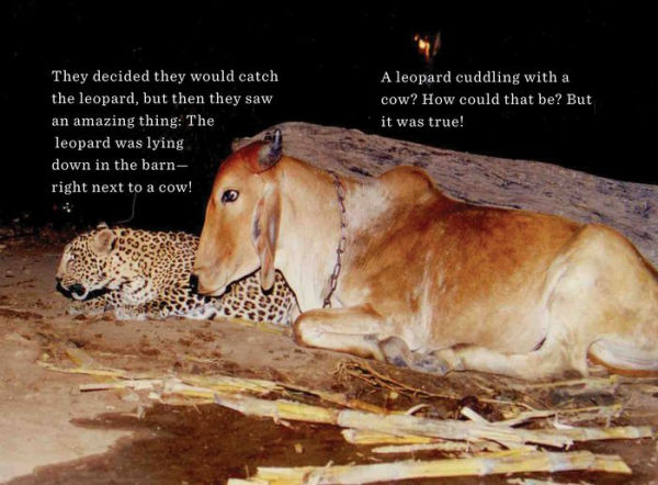 Unlikely Friendships for Kids: The Leopard & the Cow: And Four Other Stories of Animal Friendships