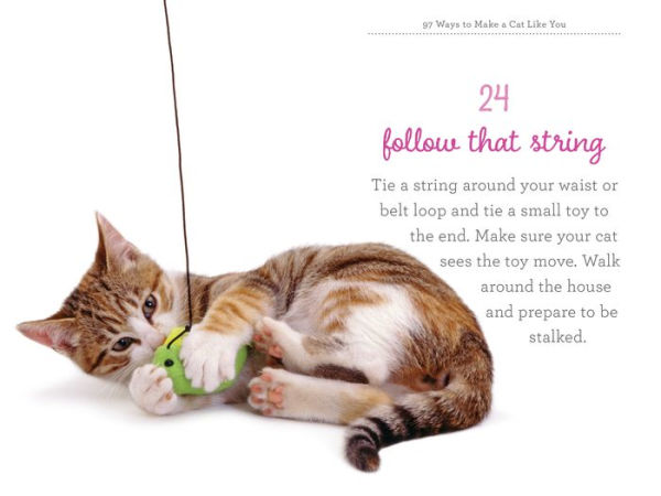 97 Ways to Make a Cat Like You