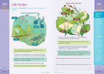 Alternative view 6 of Brain Quest Workbook: 5th Grade