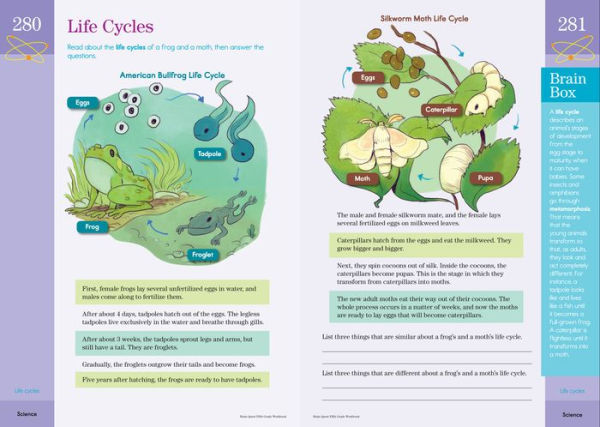 Brain Quest Workbook: 5th Grade