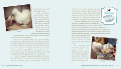 Alternative view 3 of Unlikely Friendships: Dogs: 37 Stories of Canine Compassion and Courage