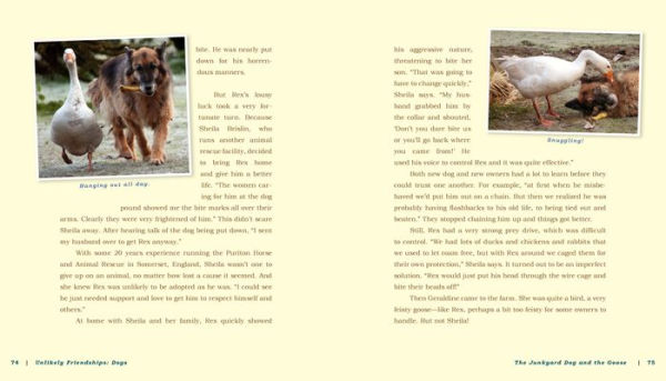 Unlikely Friendships: Dogs: 37 Stories of Canine Compassion and Courage