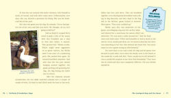 Alternative view 9 of Unlikely Friendships: Dogs: 37 Stories of Canine Compassion and Courage