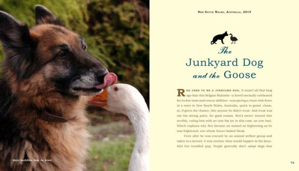 Unlikely Friendships: Dogs: 37 Stories of Canine Compassion and Courage