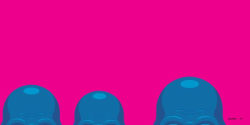 Alternative view 5 of Baldies: A Field Guide to the Northern Hemisphere