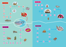 Alternative view 9 of Summer Brain Quest: Between Grades 4 & 5