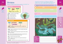 Alternative view 6 of Summer Brain Quest: Between Grades 5 & 6