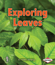 Title: Exploring Leaves, Author: Kristin Sterling