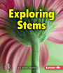 Exploring Stems