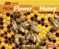 Title: From Flower to Honey, Author: Robin Nelson