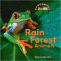 Rainforest Animals