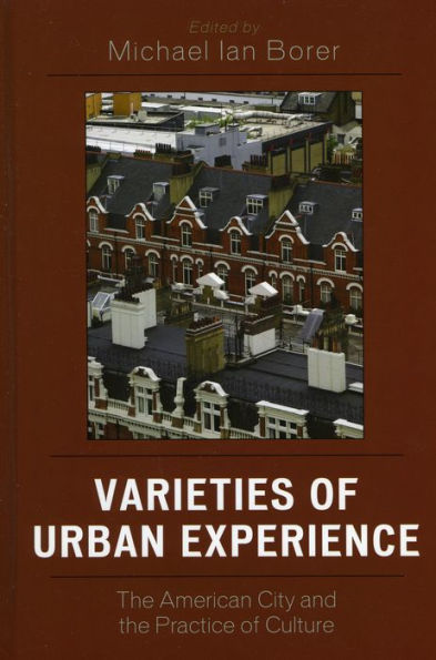 Varieties of Urban Experience: The American City and the Practice of Culture