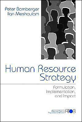 Human Resource Strategy: Formulation, Implementation, and Impact / Edition 1