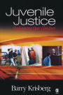 Juvenile Justice: Redeeming Our Children / Edition 1