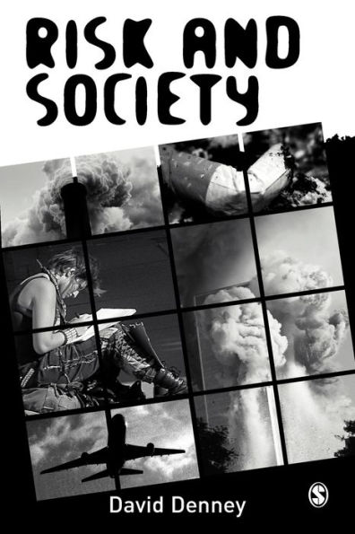 Risk and Society / Edition 1