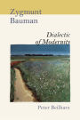 Zygmunt Bauman: Dialectic of Modernity / Edition 1