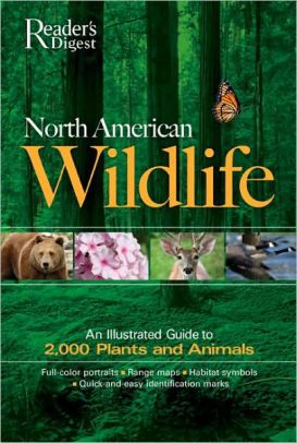 North American Wildlife An Illustrated Guide To 2 000