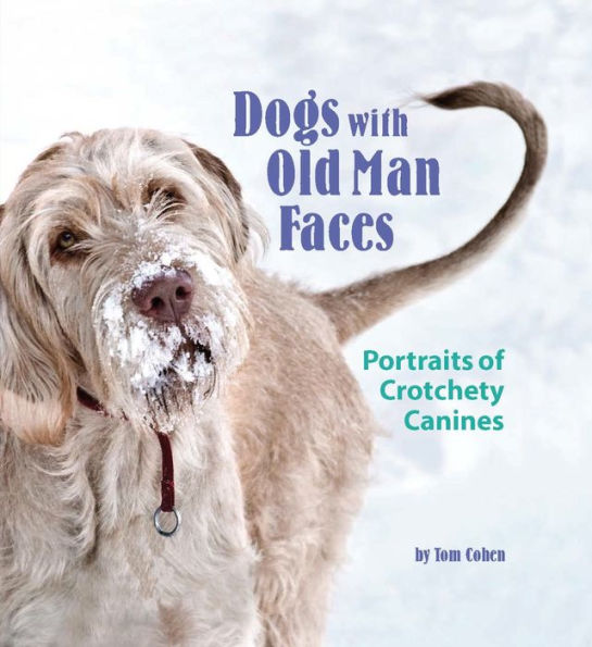 Dogs with Old Man Faces: Portraits of Crotchety Canines