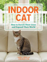 Indoor Cat: How to Enrich Their Lives and Expand Their World