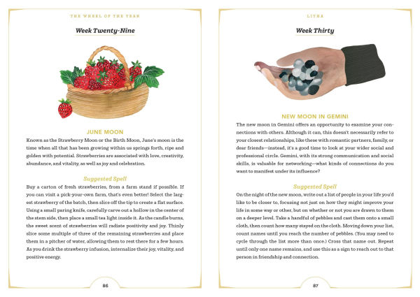 the Wheel of Year: A Guide to Sabbats, Lunar Cycles, and Stars Above