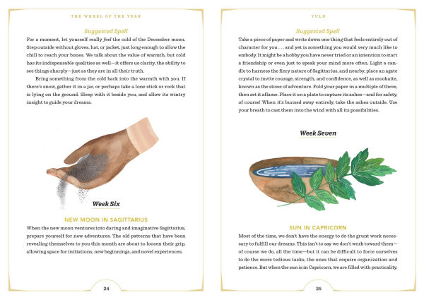 the Wheel of Year: A Guide to Sabbats, Lunar Cycles, and Stars Above