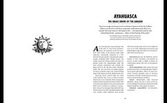 Alternative view 5 of Modern Psychedelics: The Handbook for Mindful Exploration
