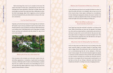 Alternative view 2 of Street Cats & Where to Find Them: The Most Feline-Friendly Cities and Attractions Around the World