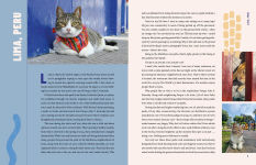 Alternative view 5 of Street Cats & Where to Find Them: The Most Feline-Friendly Cities and Attractions Around the World