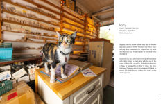 Alternative view 2 of Shop Cats of New York (Revised and Expanded)