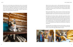 Alternative view 3 of Shop Cats of New York (Revised and Expanded)